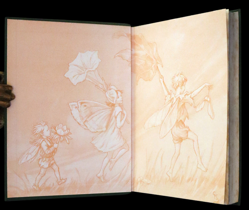 1950 First Edition - Fairies of the Flowers and Trees by Cicely Mary Barker