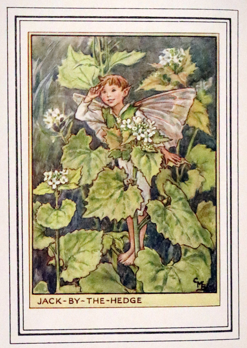 1950 First Edition - Fairies of the Flowers and Trees by Cicely Mary Barker