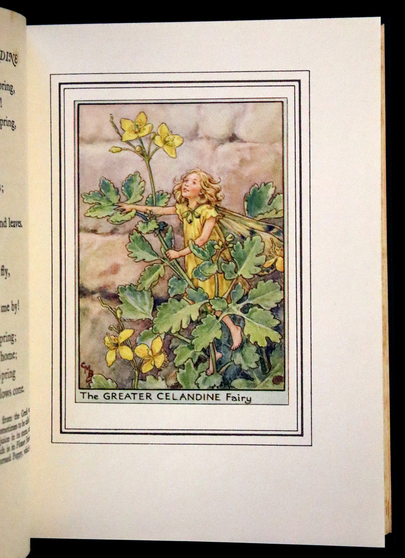 1950 First Edition - Fairies of the Flowers and Trees by Cicely Mary Barker