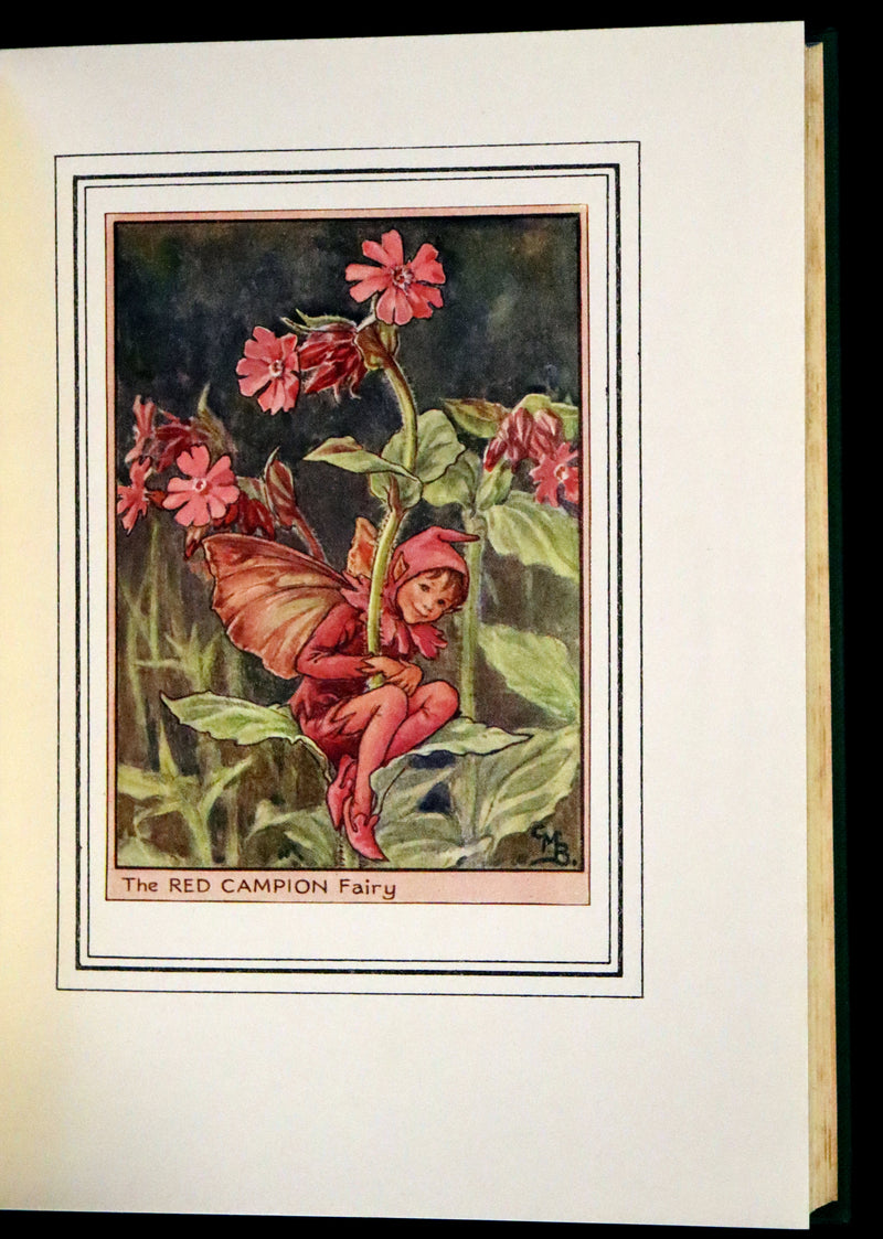 1950 First Edition - Fairies of the Flowers and Trees by Cicely Mary Barker