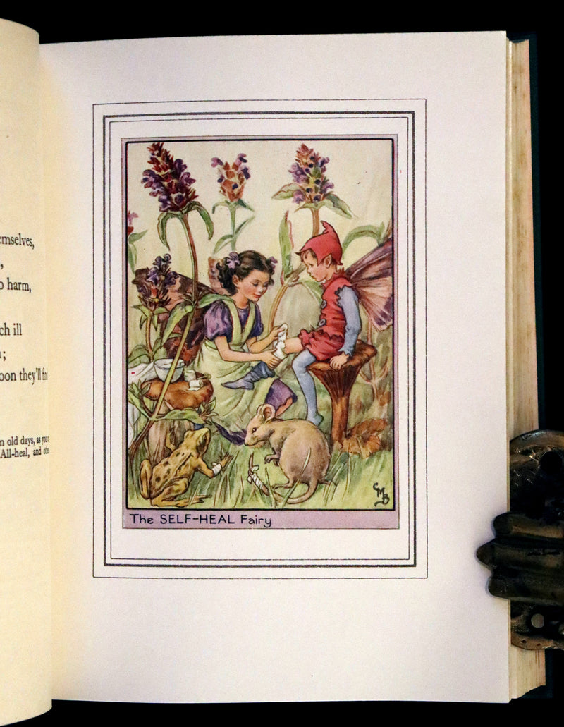 1950 First Edition - Fairies of the Flowers and Trees by Cicely Mary Barker