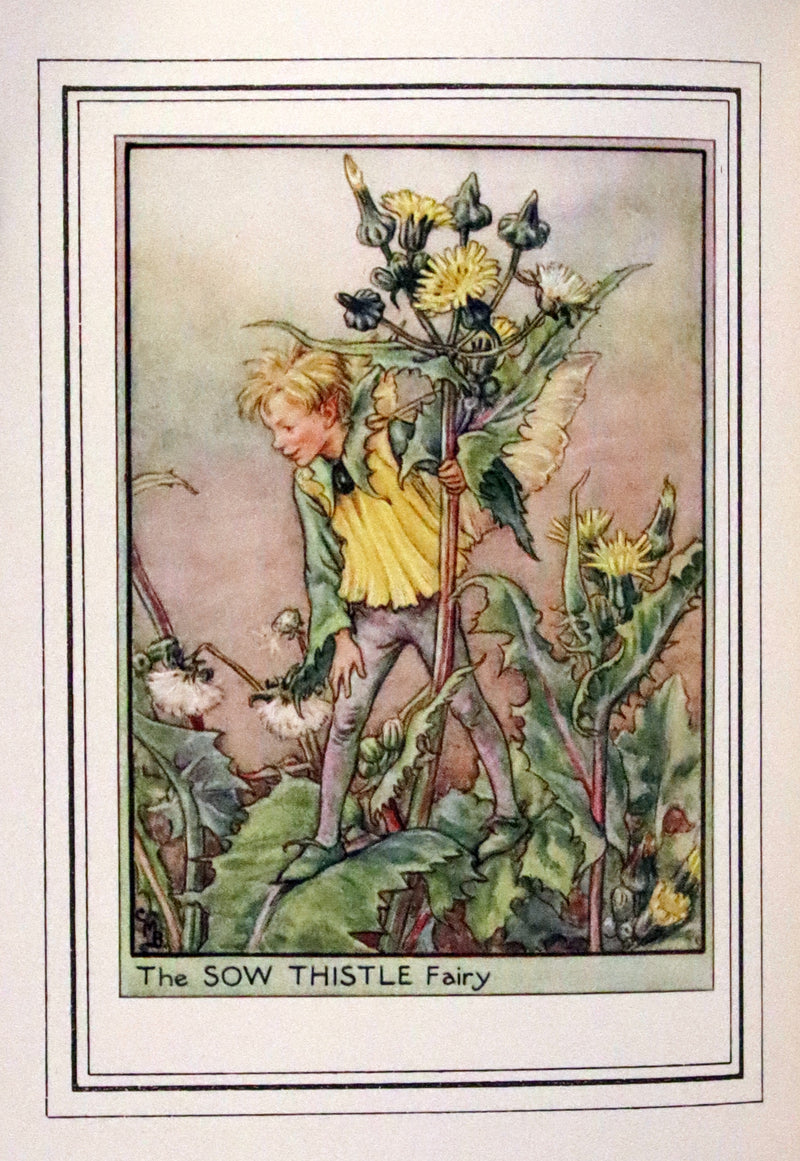 1950 First Edition - Fairies of the Flowers and Trees by Cicely Mary Barker