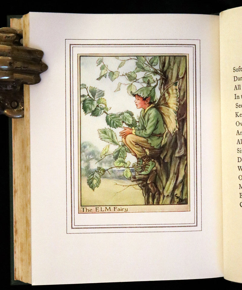 1950 First Edition - Fairies of the Flowers and Trees by Cicely Mary Barker