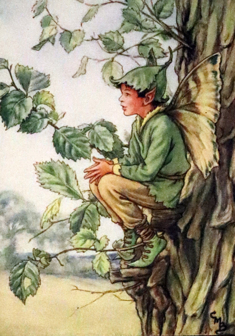 1950 First Edition - Fairies of the Flowers and Trees by Cicely Mary Barker