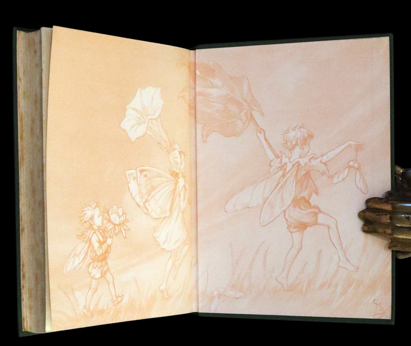 1950 First Edition - Fairies of the Flowers and Trees by Cicely Mary Barker