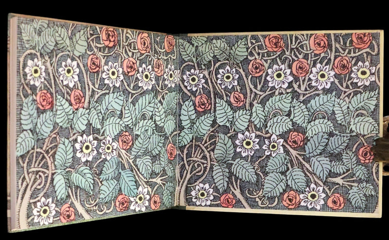 1965 First Edition- Hector Protector, As I Went Over the Water by Maurice Sendak