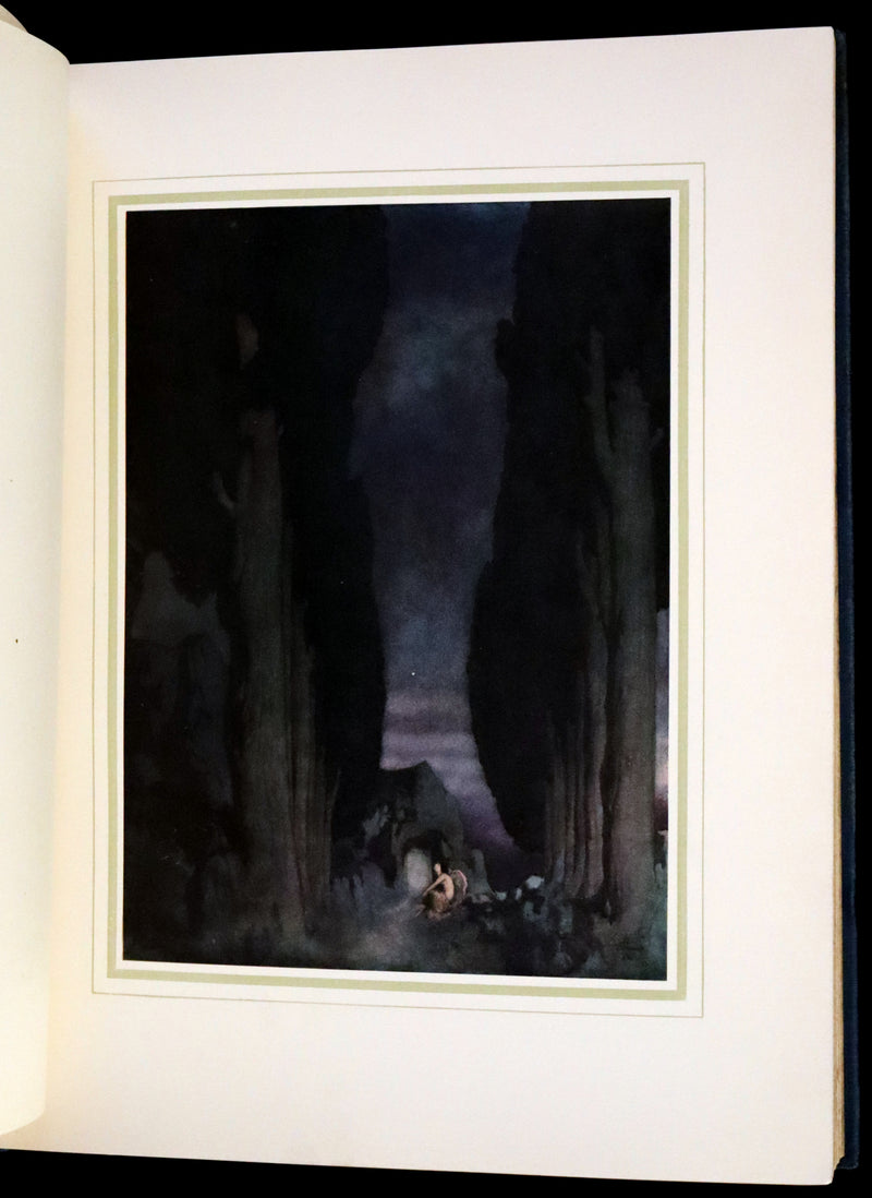 1912 First Edition - Poems of Edgar Allan Poe Illustrated By Edmund Dulac