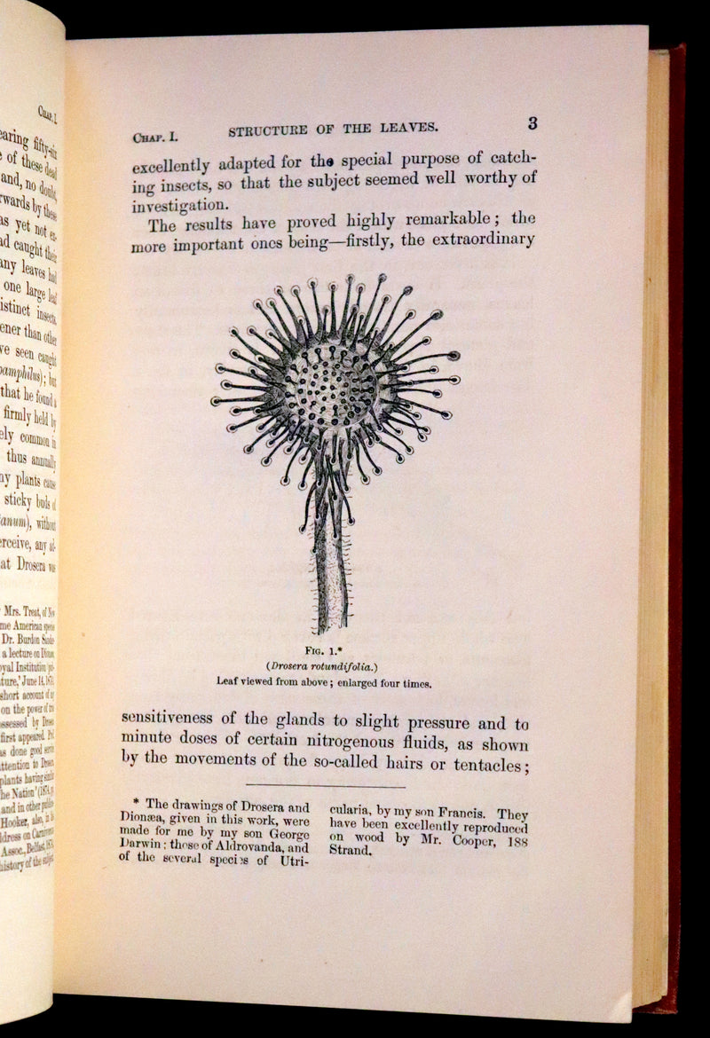 1883 Rare Book - Insectivorous Plants by Charles Darwin. Illustrated.