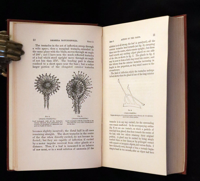 1883 Rare Book - Insectivorous Plants by Charles Darwin. Illustrated.