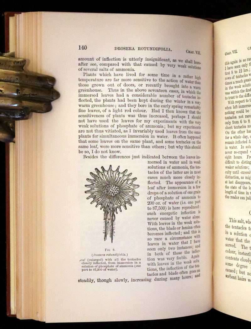 1883 Rare Book - Insectivorous Plants by Charles Darwin. Illustrated.
