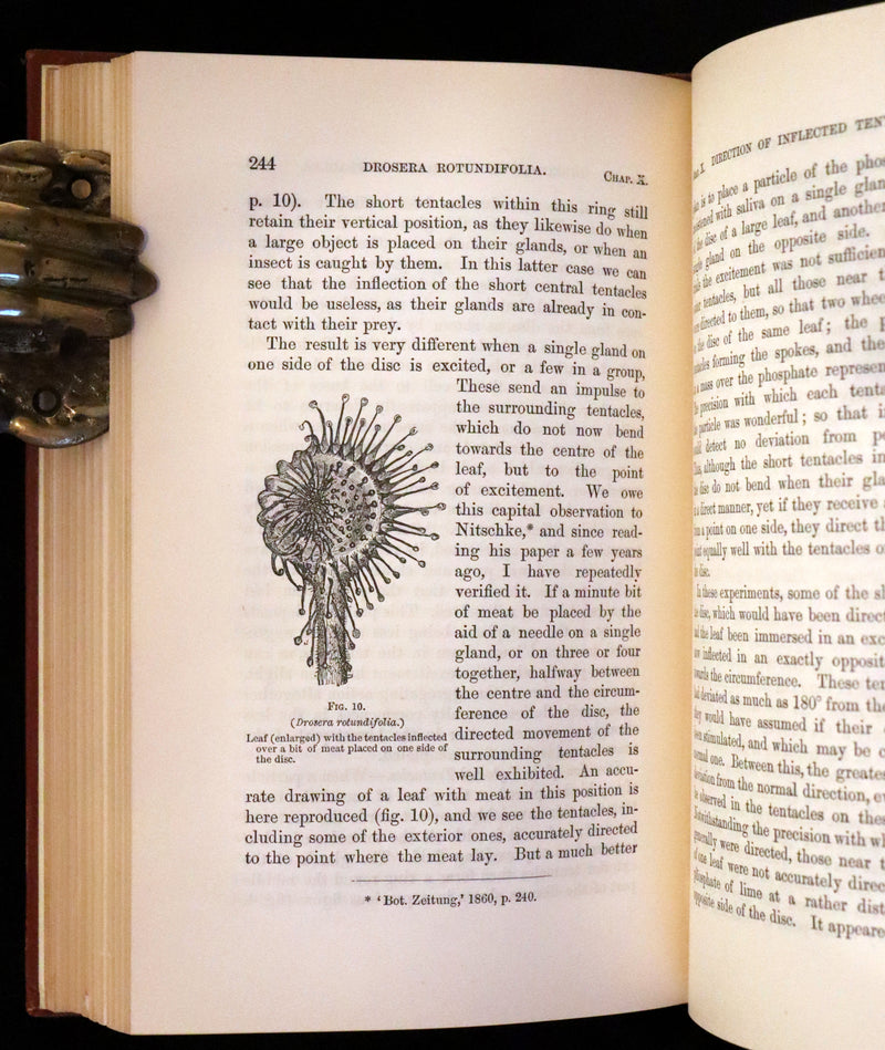 1883 Rare Book - Insectivorous Plants by Charles Darwin. Illustrated.