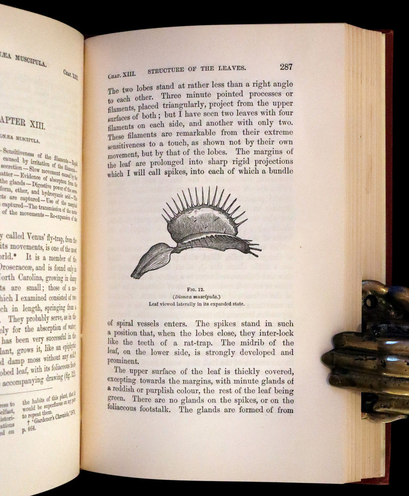 1883 Rare Book - Insectivorous Plants by Charles Darwin. Illustrated.