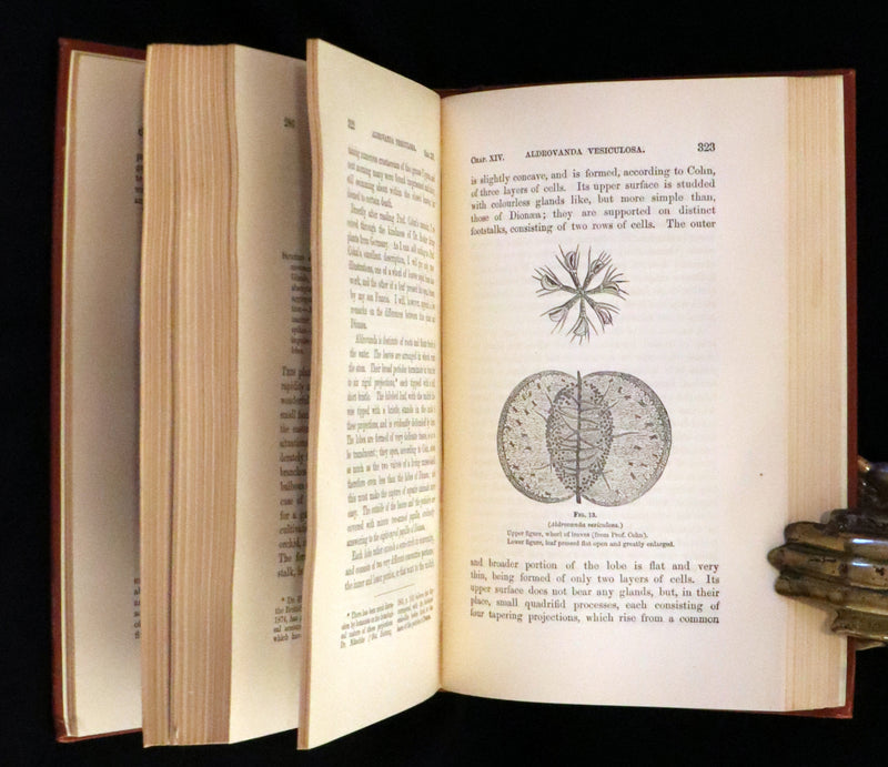 1883 Rare Book - Insectivorous Plants by Charles Darwin. Illustrated.