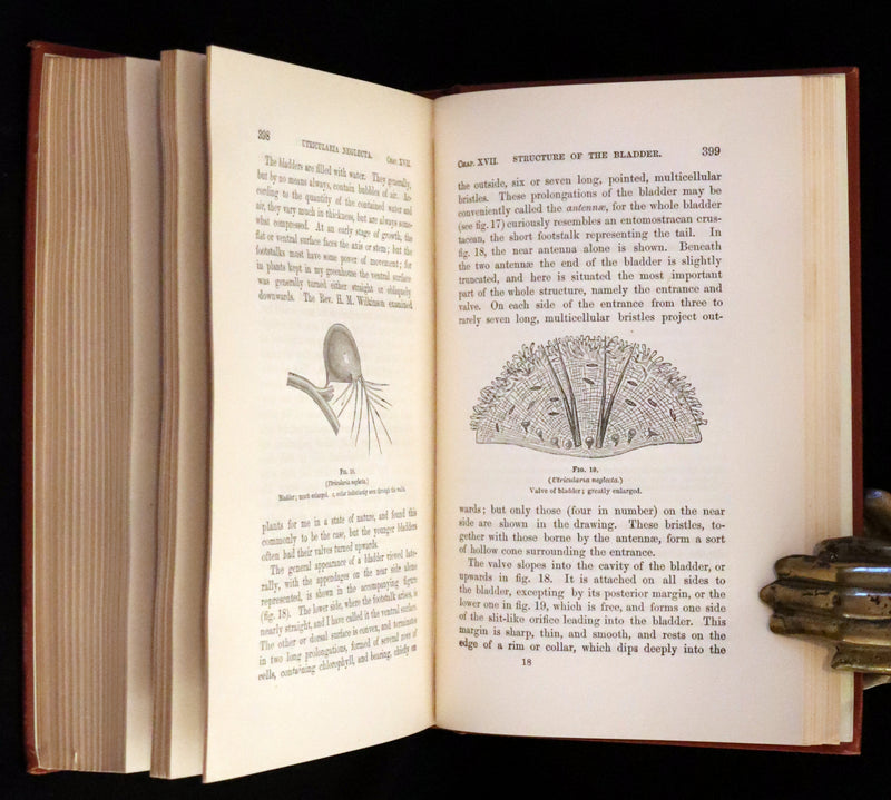 1883 Rare Book - Insectivorous Plants by Charles Darwin. Illustrated.