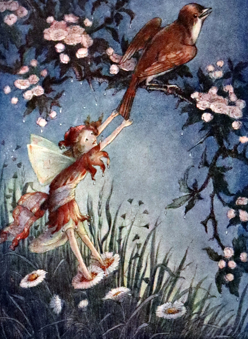 1914 First Edition illustrated by Flora White - Stories Told to Children