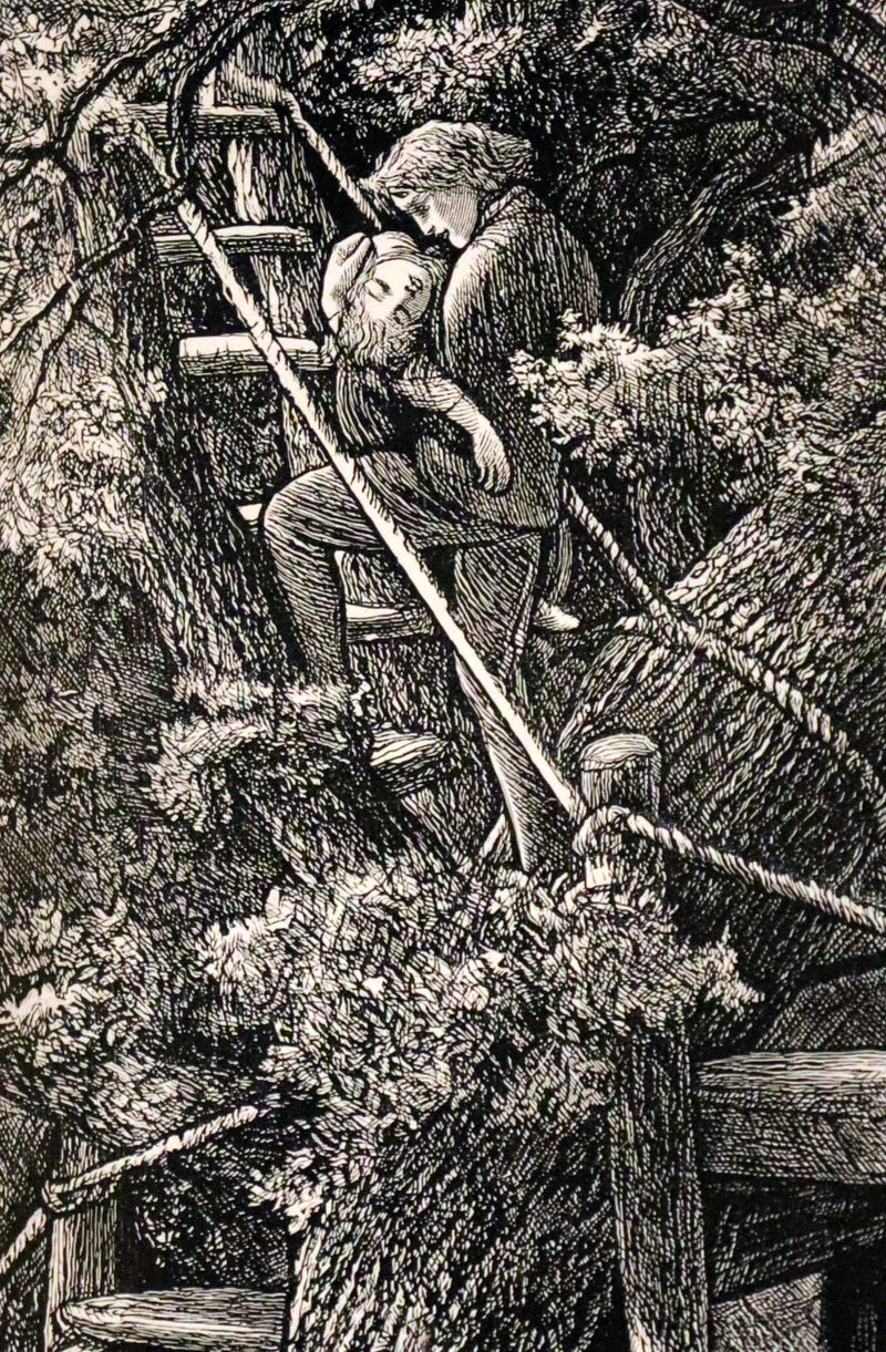 1890 Rare Book - History of Gutta-Percha Willie by George MacDonald