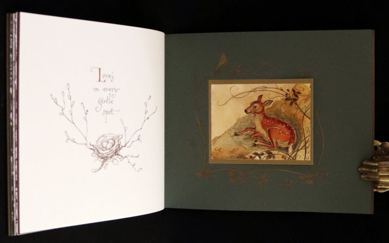 2019 Rare Book - Affairs Of The Heart Peaceable Creatures by Charles van Sandwyk
