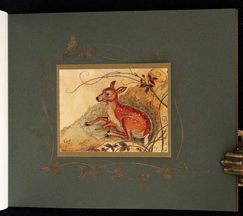 2019 Rare Book - Affairs Of The Heart Peaceable Creatures by Charles van Sandwyk