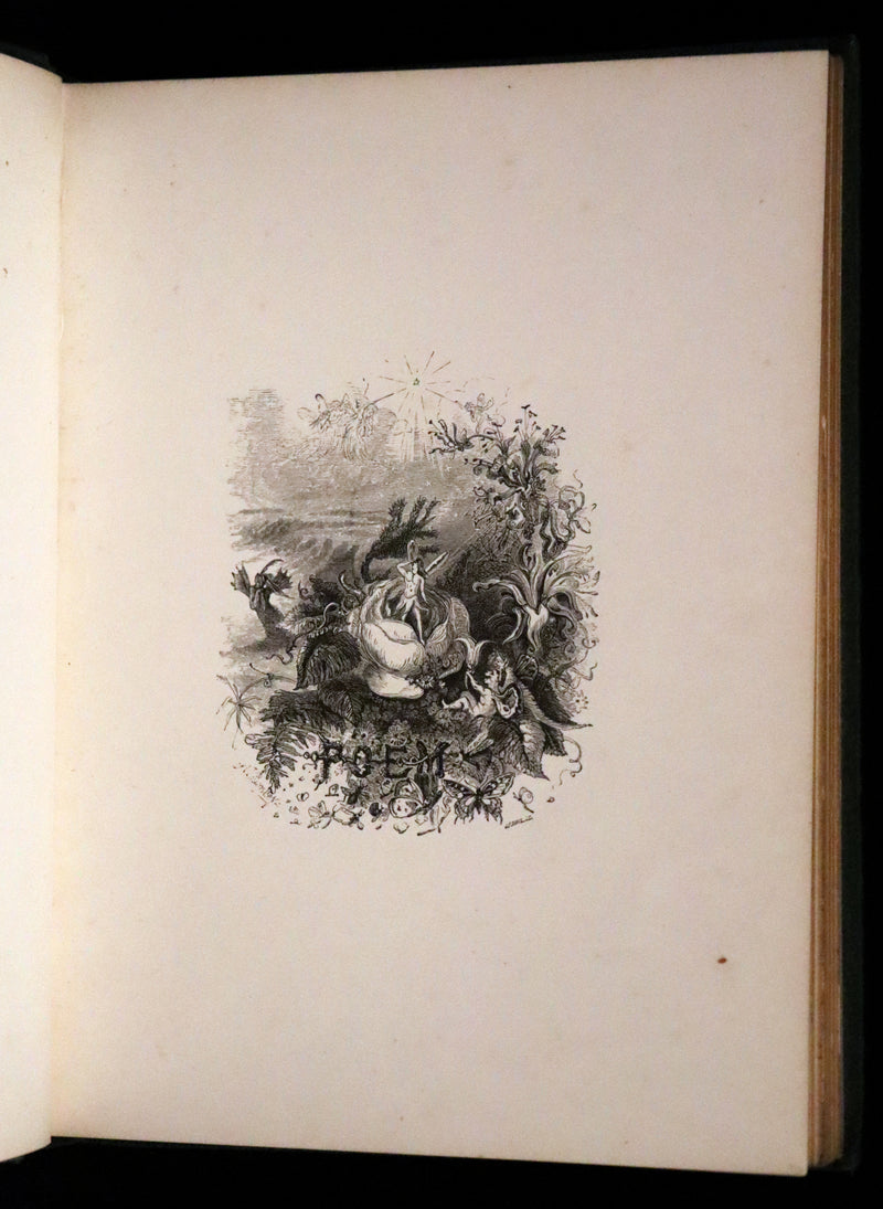 1867 Rare Book - The Culprit Fay by J. Rodman Drake Illustrated by A. Lumley
