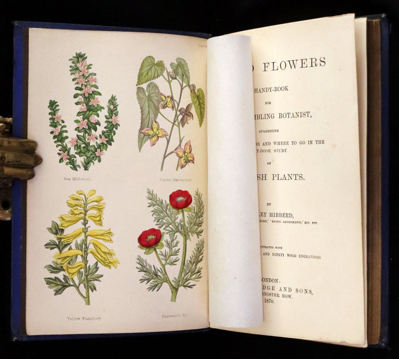 1870 Scarce First Edition - Field Flowers by the botanist James Shirley Hibberd