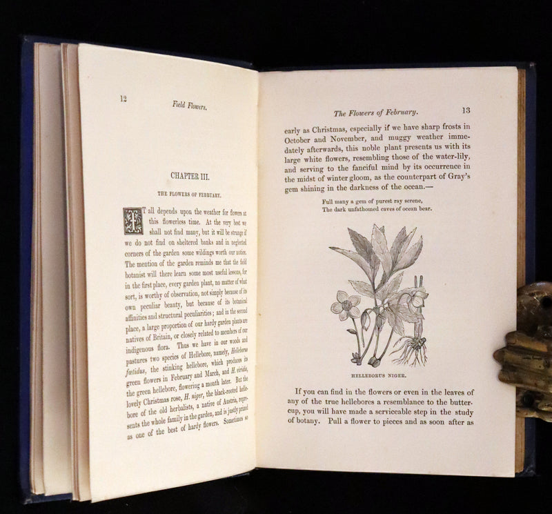 1870 Scarce First Edition - Field Flowers by the botanist James Shirley Hibberd