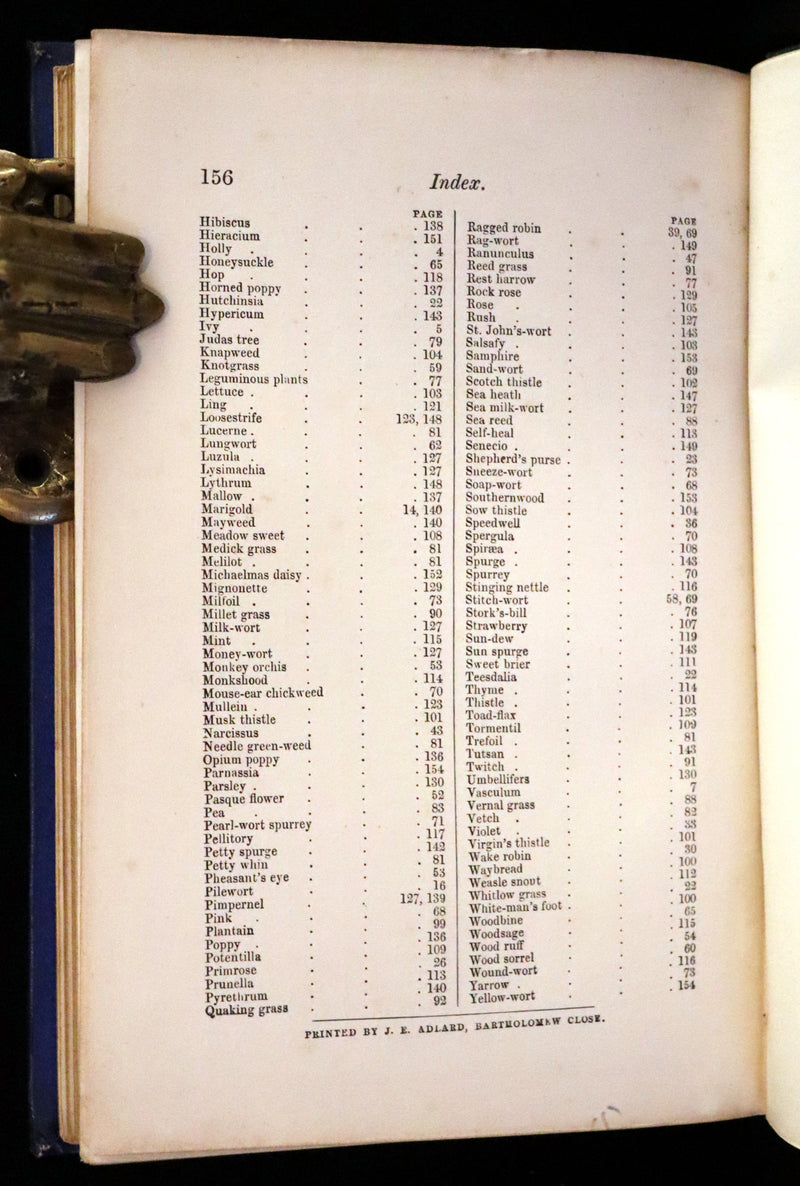 1870 Scarce First Edition - Field Flowers by the botanist James Shirley Hibberd