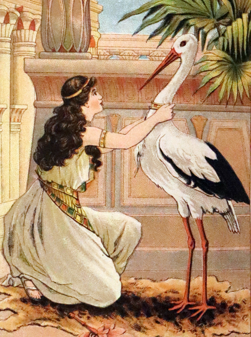 1895 Rare Victorian Book - Hans Christian Andersen's Fairy Tales Illustrated