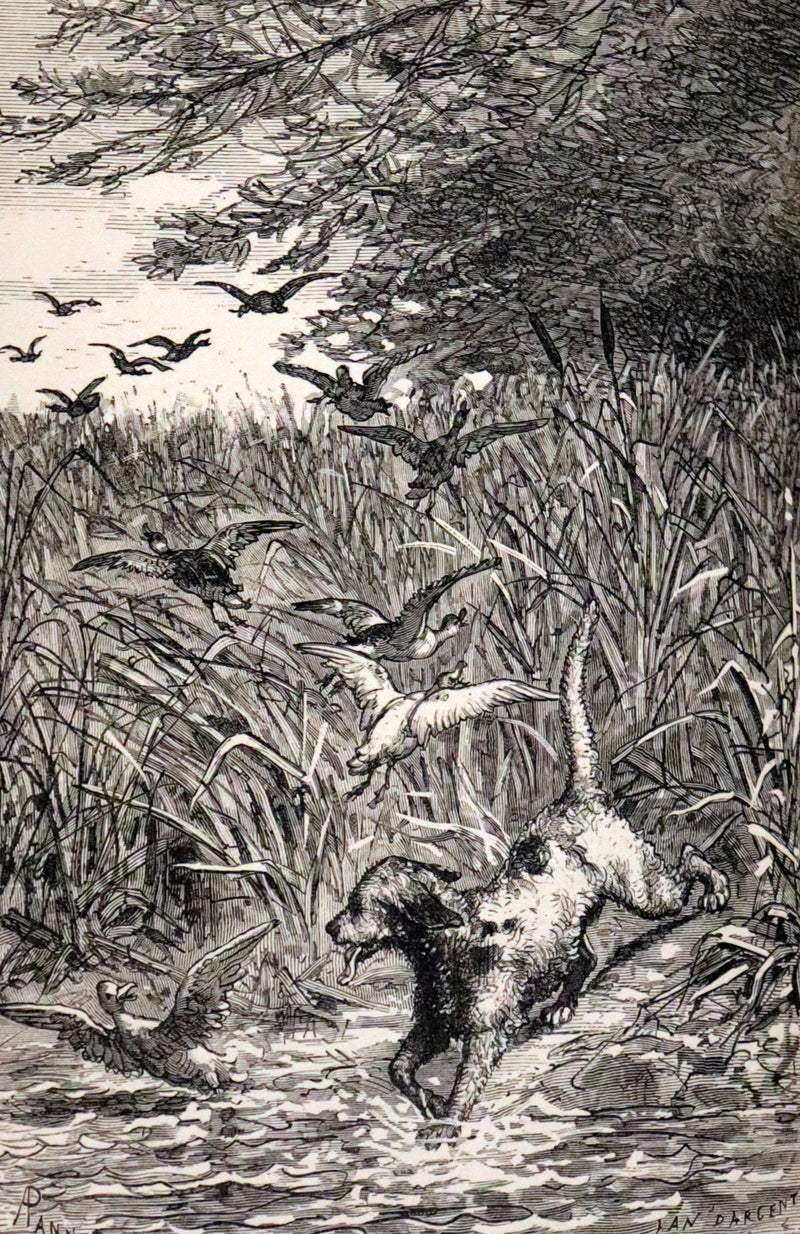 1895 Rare Victorian Book - Hans Christian Andersen's Fairy Tales Illustrated