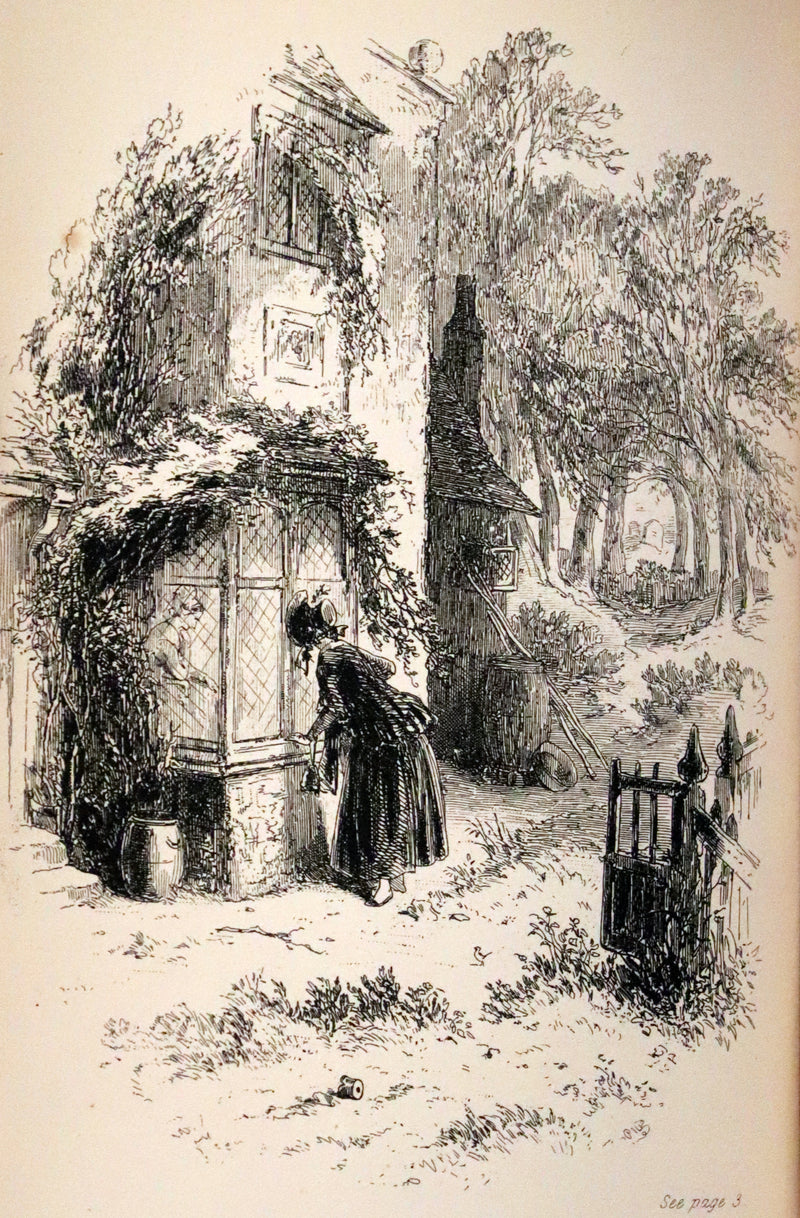 1875 Rare Book Set -The Personal History of David Copperfield by Charles Dickens