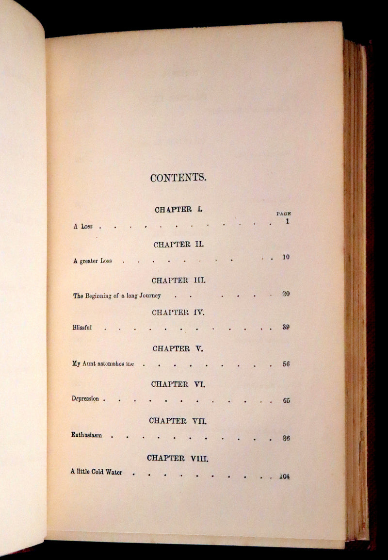 1875 Rare Book Set -The Personal History of David Copperfield by Charles Dickens