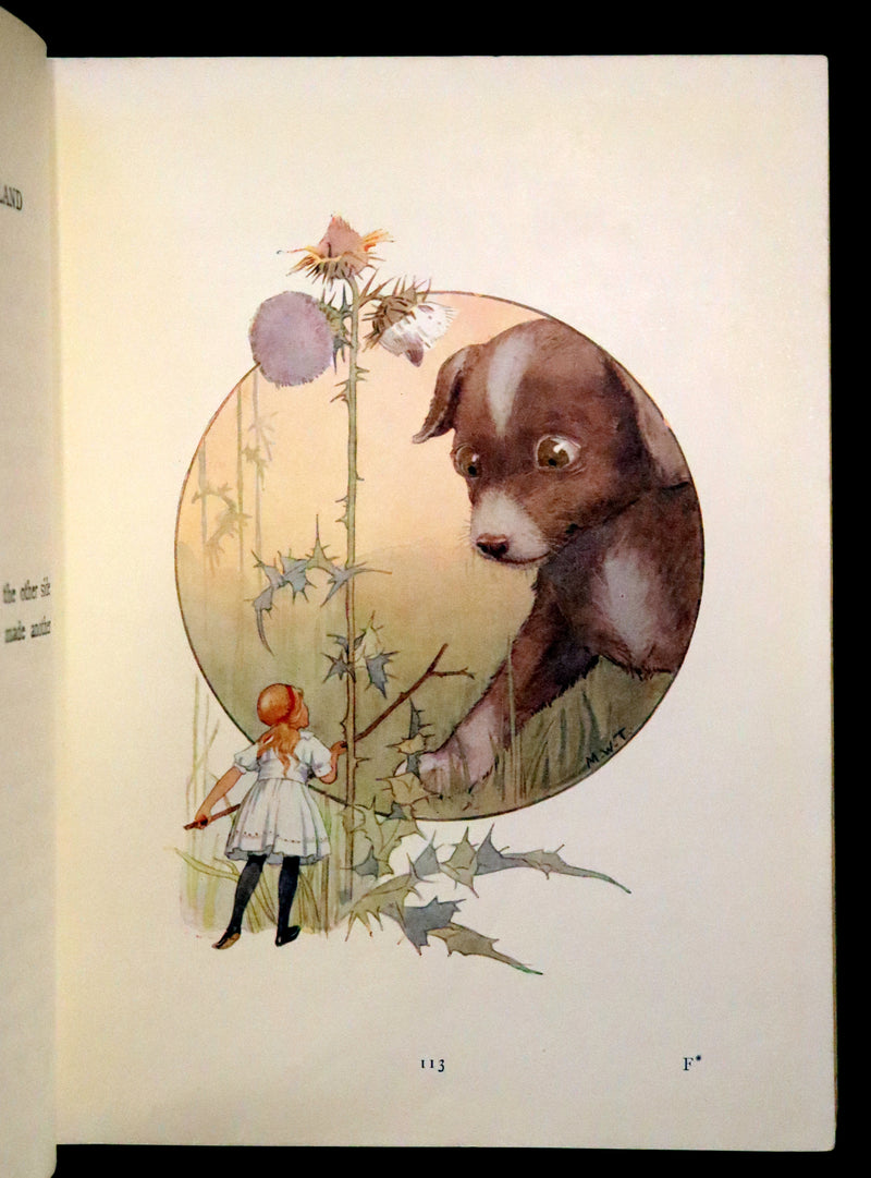 1920 Rare Book - Alice in Wonderland illustrated by Margaret W. Tarrant