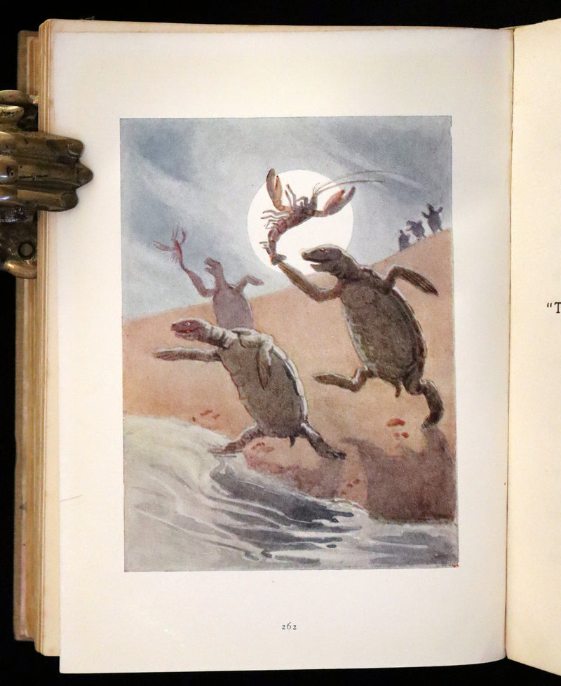 1920 Rare Book - Alice in Wonderland illustrated by Margaret W. Tarrant