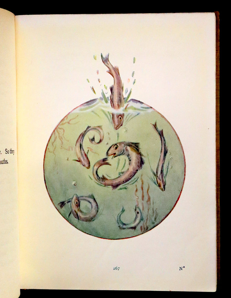 1920 Rare Book - Alice in Wonderland illustrated by Margaret W. Tarrant