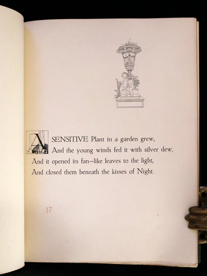 1911 Rare First Edition - The Sensitive Plant Illustrated by Charles Robinson