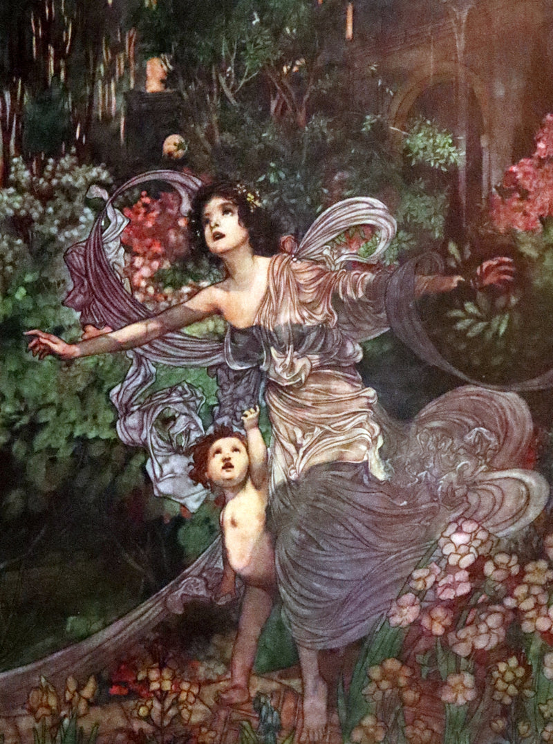 1911 Rare First Edition - The Sensitive Plant Illustrated by Charles Robinson