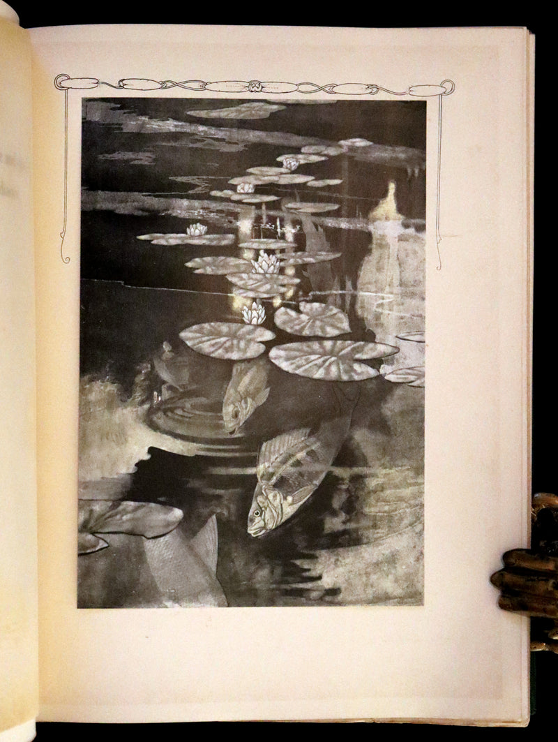 1911 Rare First Edition - The Sensitive Plant Illustrated by Charles Robinson