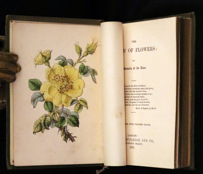 1852 Scarce Book - The Queen of Flowers: or, Memoirs of the Rose by Robert Tyas