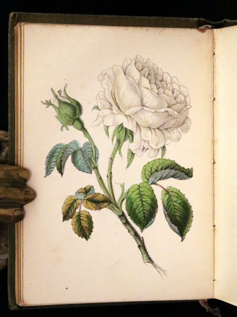 1852 Scarce Book - The Queen of Flowers: or, Memoirs of the Rose by Robert Tyas