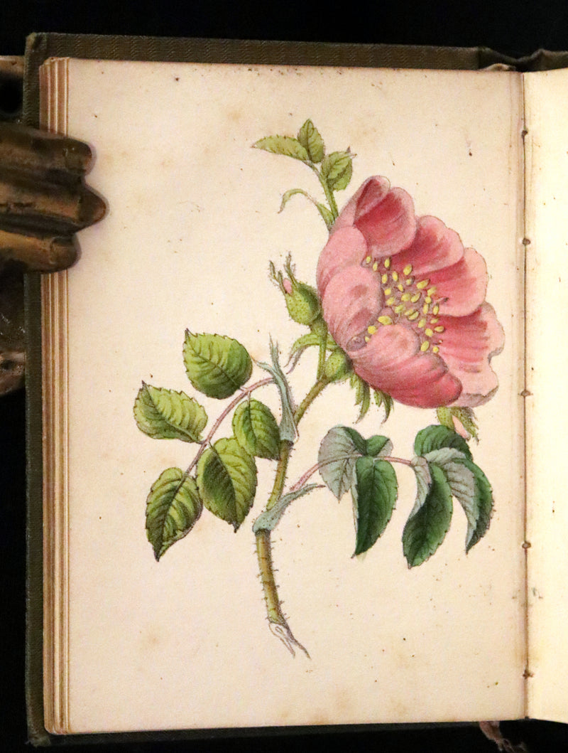 1852 Scarce Book - The Queen of Flowers: or, Memoirs of the Rose by Robert Tyas