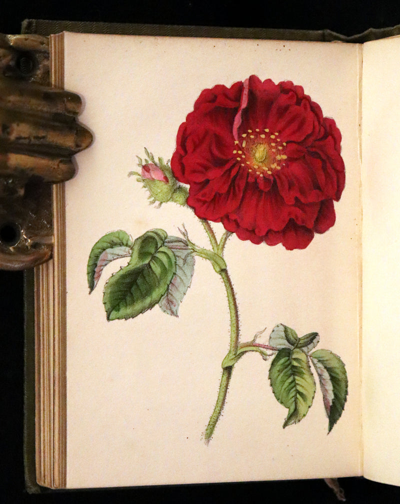 1852 Scarce Book - The Queen of Flowers: or, Memoirs of the Rose by Robert Tyas