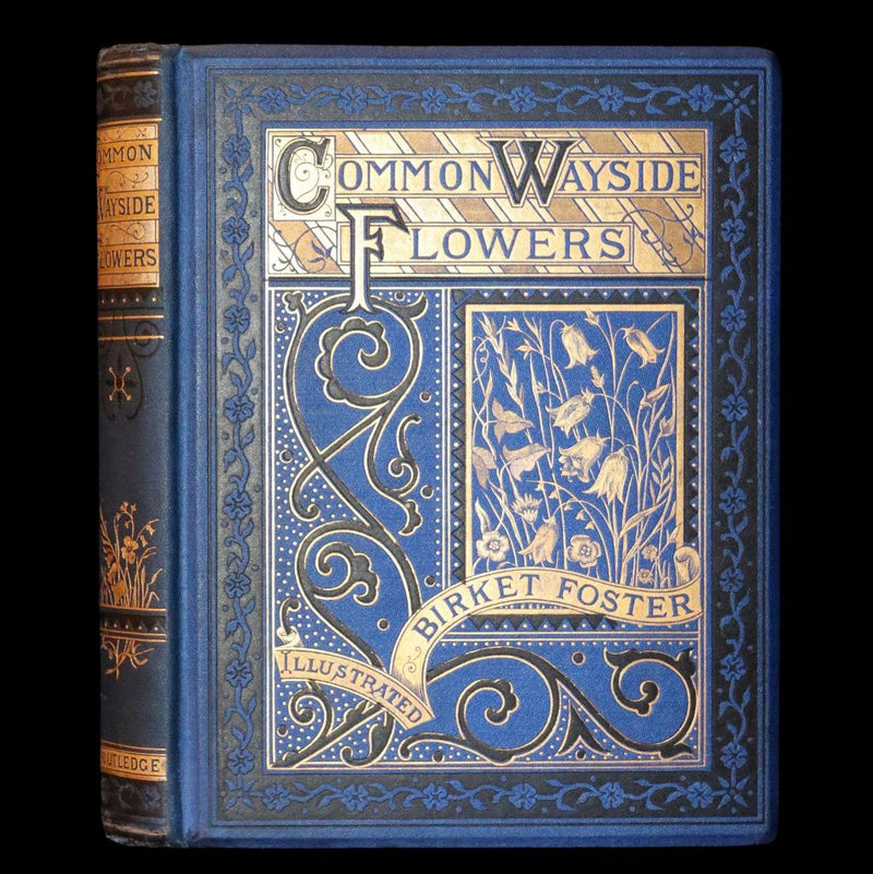 1873 Rare Book - Common Wayside Flowers Color Illustrated by Birket Foster
