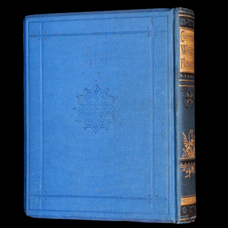1873 Rare Book - Common Wayside Flowers Color Illustrated by Birket Foster