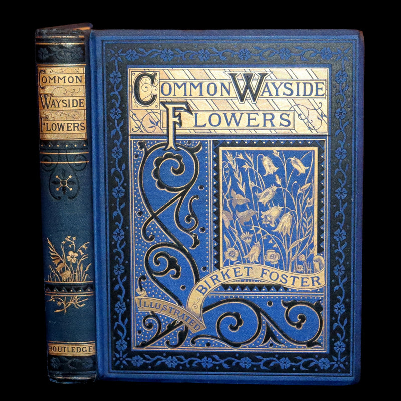 1873 Rare Book - Common Wayside Flowers Color Illustrated by Birket Foster