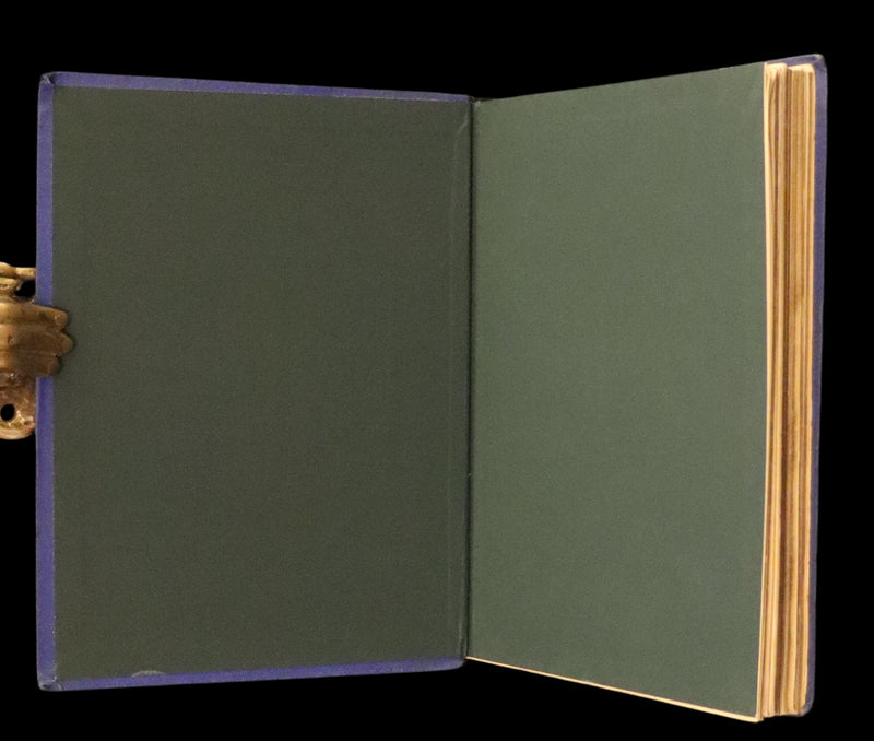 1873 Rare Book - Common Wayside Flowers Color Illustrated by Birket Foster