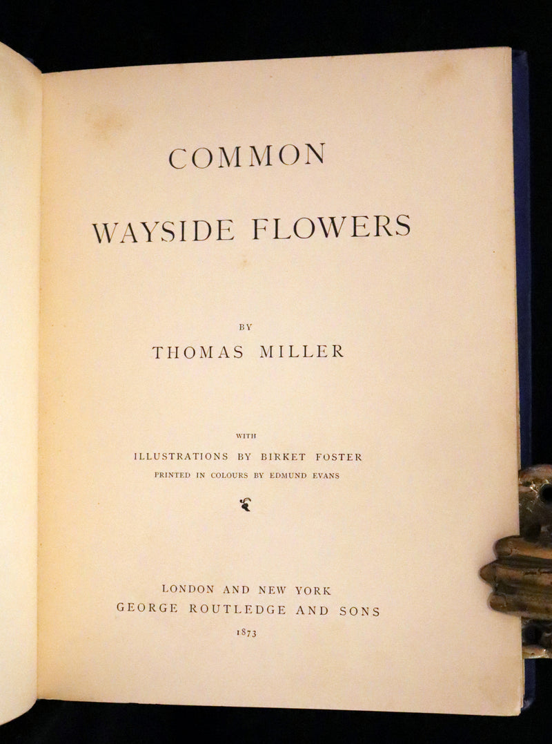 1873 Rare Book - Common Wayside Flowers Color Illustrated by Birket Foster