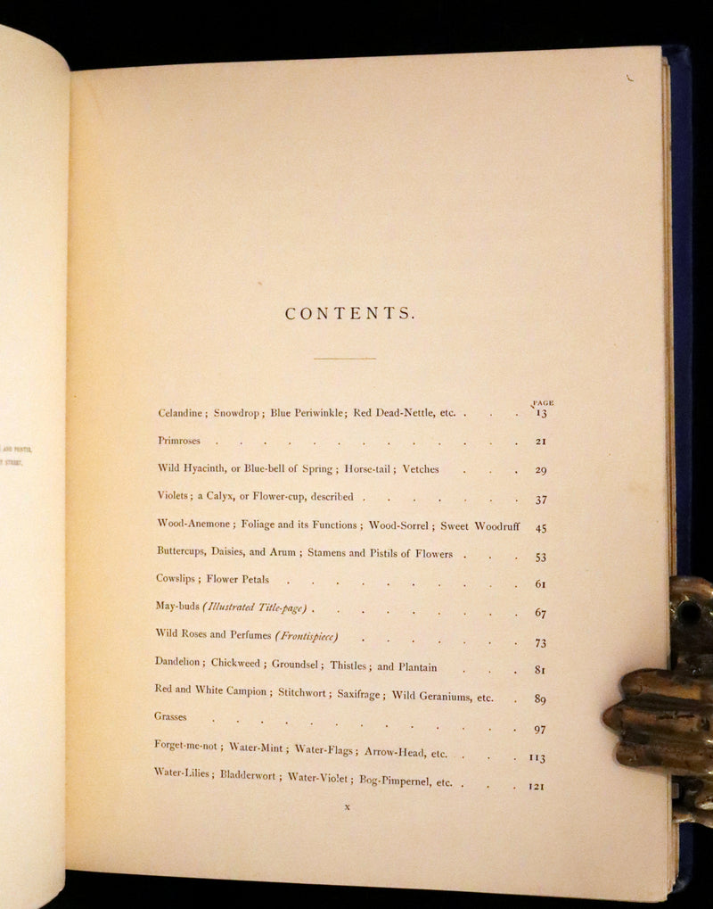 1873 Rare Book - Common Wayside Flowers Color Illustrated by Birket Foster