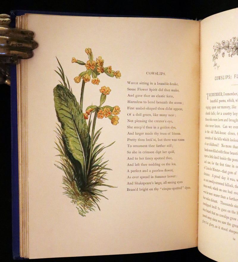 1873 Rare Book - Common Wayside Flowers Color Illustrated by Birket Foster