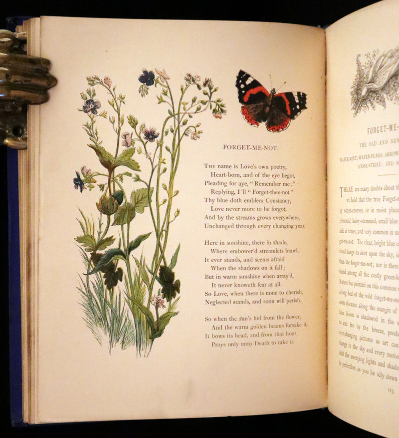 1873 Rare Book - Common Wayside Flowers Color Illustrated by Birket Foster
