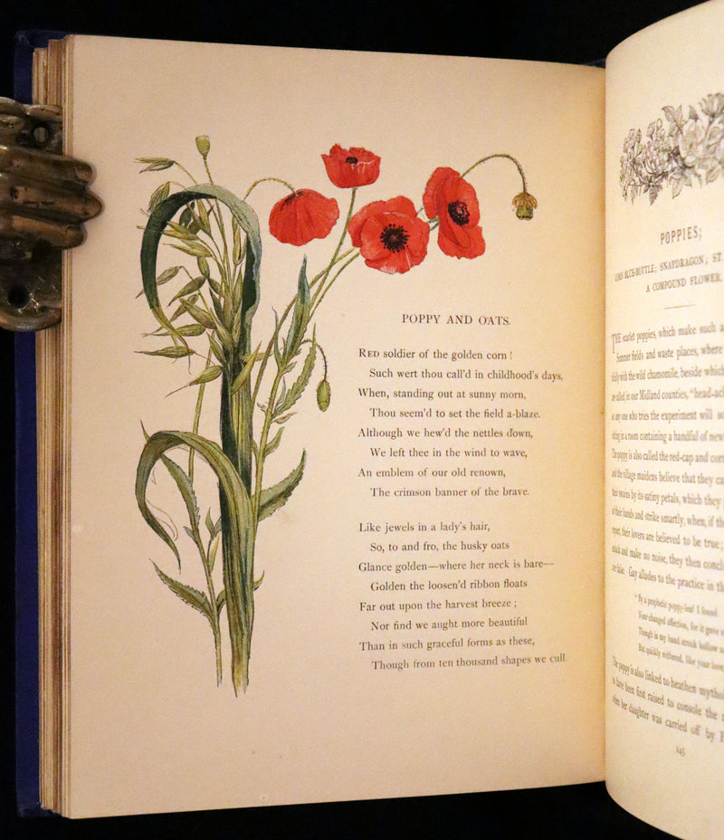 1873 Rare Book - Common Wayside Flowers Color Illustrated by Birket Foster