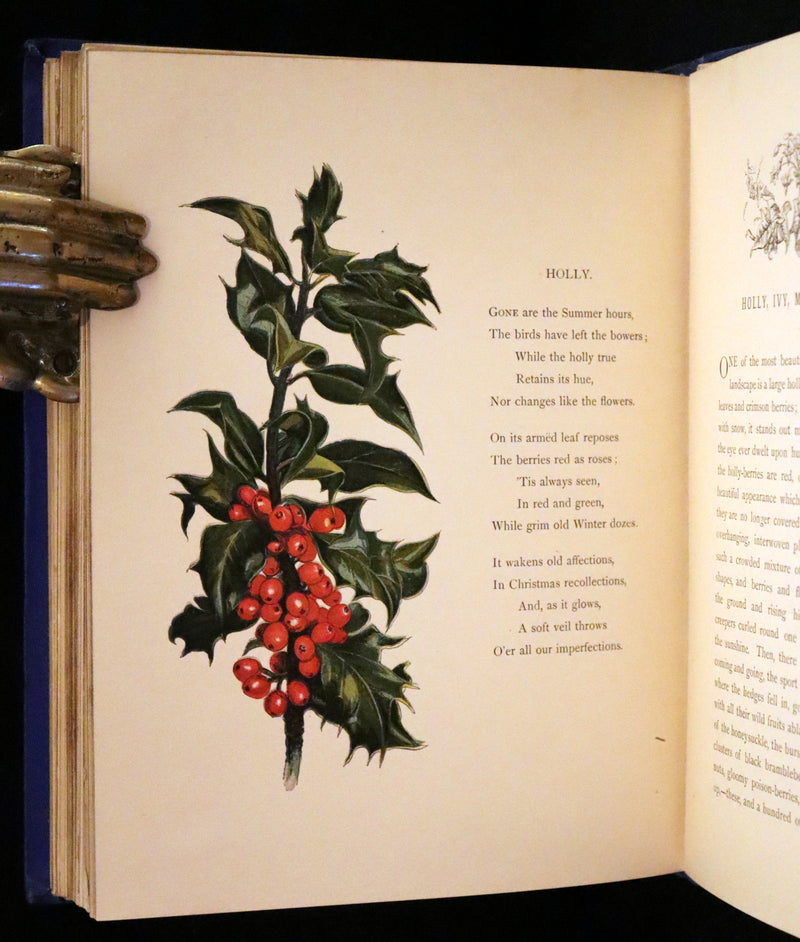1873 Rare Book - Common Wayside Flowers Color Illustrated by Birket Foster